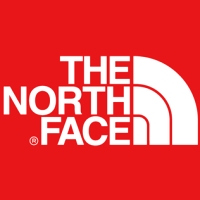 the north face логотип
